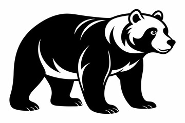 illustration of a bear