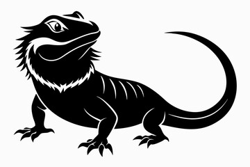  bearded dragon  silhouetted 