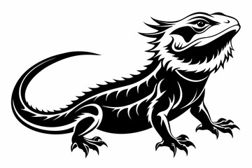  bearded dragon  silhouetted 
