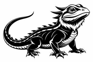  bearded dragon  silhouetted 