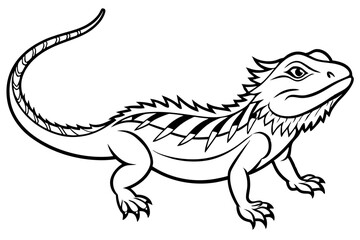  bearded dragon  silhouetted 