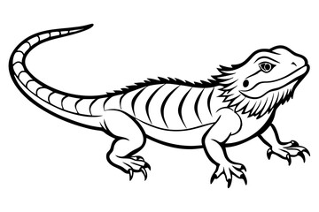  bearded dragon  silhouetted 