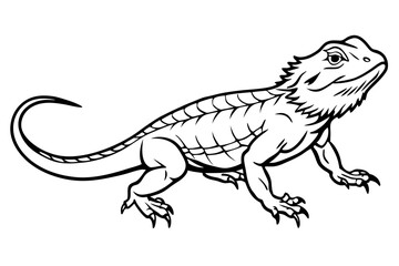  bearded dragon  silhouetted 