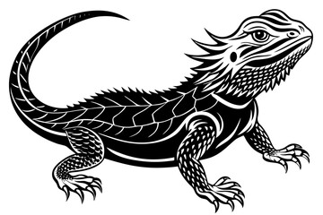  bearded dragon  silhouetted 