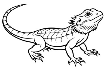  bearded dragon  silhouetted 