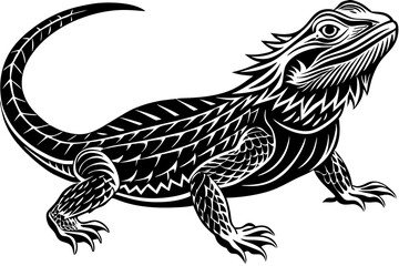  bearded dragon  silhouetted 