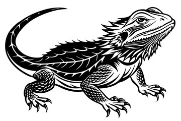  bearded dragon  silhouetted 