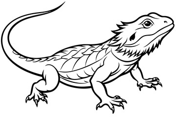  bearded dragon  silhouetted 