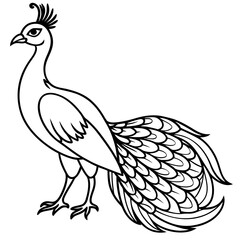 Fototapeta premium beautiful bird peacock silhouette