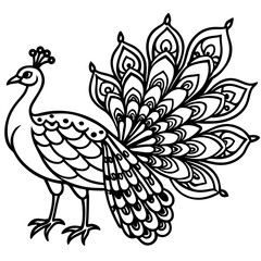 beautiful bird peacock silhouette