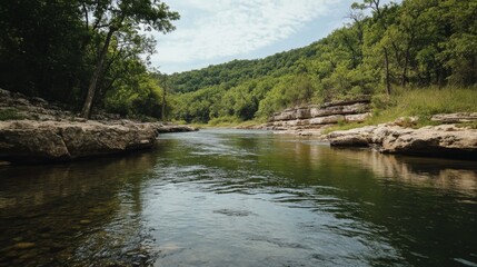 Fototapeta premium Calm river flowing through lush green forest.