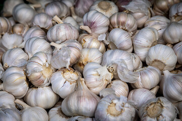 An abundance of garlic bulbs displayed for sale, with selective focus