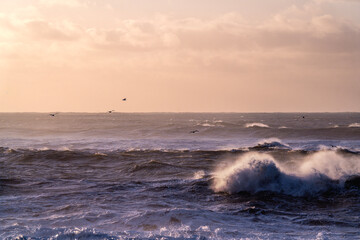 black beach in Iceland rough morning sunrise pretty orange golden hour sky birds flying in the sky
