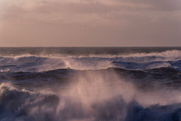 black beach in Iceland rough morning sunrise pretty orange golden hour sky birds flying in the sky