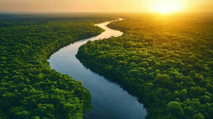 Fototapeta premium Sunset River Winding Through Lush Rainforest