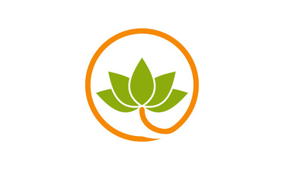 Leaf and Health