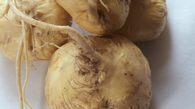 Maca (Peru-Ginseng). Still-life with a white background