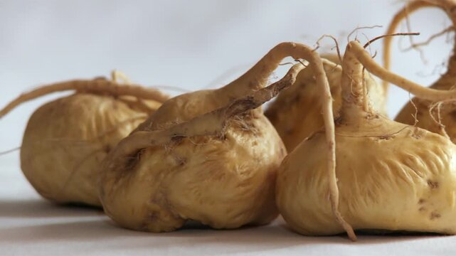 Maca (Peru-Ginseng). Still-life with a white background
