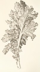 Botanical Illustration of a Detailed Plant Stem and Leaves. Exquisite Detail in a Botanical Drawing Style. A Detailed Study of Plant Structure