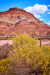 Gooseberry Mesa Desert Vista with Bush and Fence Eye-Level Perspective