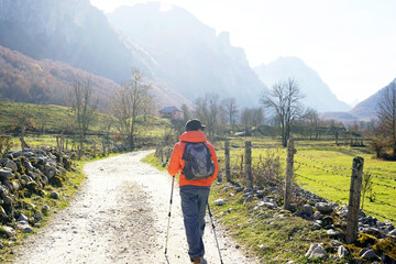 Visiting Prokletije National Park: A tourist with a backpack and hiking poles walks through a beautiful mountain valley on a sunny day. The man starts a hiking route on the road to Vusanje, Montenegro