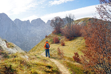 Fototapeta premium Autumn hiking in Prokletije National Park, Montenegro: a man in a colorful jacket with a backpack walks along a trail with an amazing view. Hiker in the mountains photographed from the back.