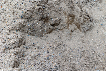 Close-up of coarse sand texture with gravel and stones