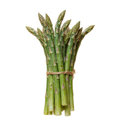 Fresh green asparagus stalks tied with twine