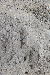 Sandy texture with pebbles and footprint imprints on beach