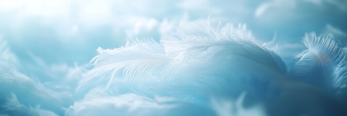 Softly Lit Dreamscape Layers of Iridescent Light Blue Feathers, Stock Texture Close Up
