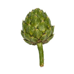 Obraz premium Fresh green artichoke on white surface
