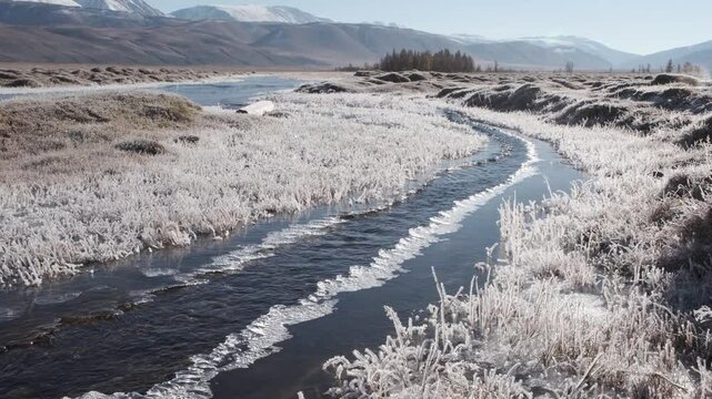 Fast-moving stream of narrow river runs along frozen banks on sunny day. Mountain landscape of autumn nature with melting ice islands and frosted grass in highland. Altai