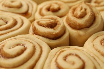 Many raw cinnamon rolls as background, closeup