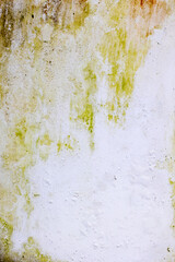 Abstract green and white textured wall with moss and weathered surface details