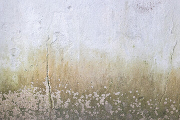 Textured concrete wall with moss and algae growth in subtle gradient