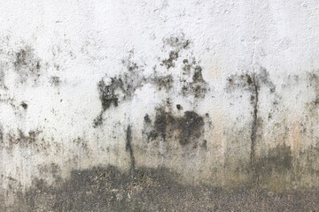 Weathered concrete wall with mold and stains in a grunge urban setting