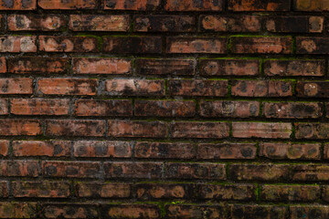 Rustic red brick wall with moss accents in natural light