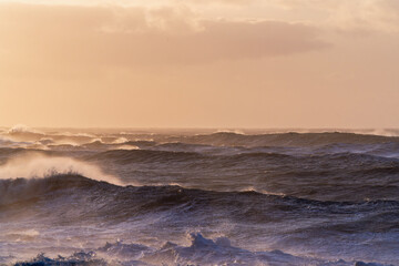 rough morning ocean wave at black beach in Iceland sunrise pretty colours close up