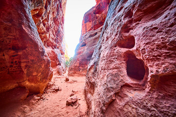Red Rock Canyon Pathway at Midday Eye-Level Perspective