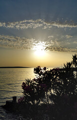 Sea view from waterfront during spectacular and calming summer sunset on the horizon