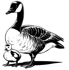 Goose Illustration