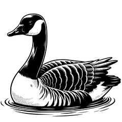 Goose Illustration © Georgi