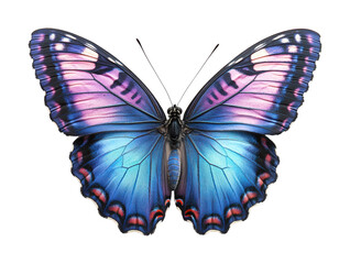 Fototapeta premium Delicate pink blue butterfly on nature high fidelity close-up detail artistic concept isolated on transparent background png