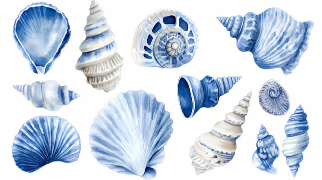 Blue seashells watercolor illustration. Seashell. Illustration