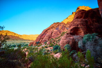 Red Rock Formations and Greenery at Golden Hour Ivins Eye-Level View