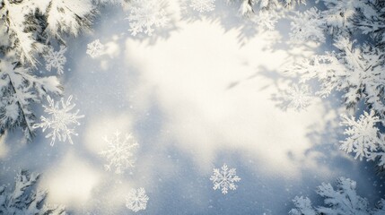 Winter Wonderland: Snowflakes, Pine Branches, and Serene Shadows
