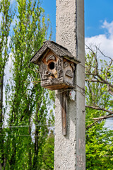 A birdhouse on a pole with a car parked in the background