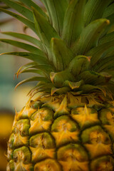 Fototapeta premium pineapple close up
