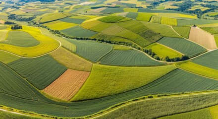 Large field with many different types of crops