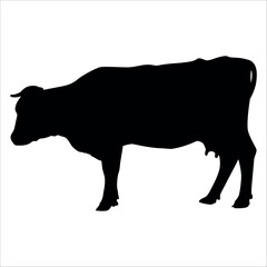 Black Cow Silhouette vector illustration